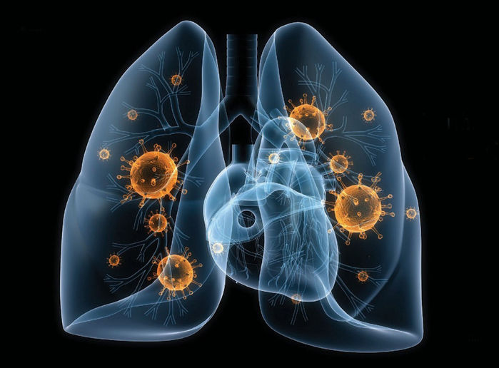 TT Kiểm soát Dịch bệnh Canada chỉ ra 9 điều cần biết về virus corona