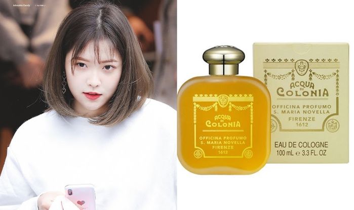 Những loại nước hoa mà nữ idol thường sử dụng: Bí kíp tạo sự quyến rũ