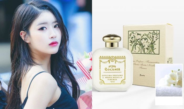 Những loại nước hoa mà nữ idol thường sử dụng: Bí kíp tạo sự quyến rũ
