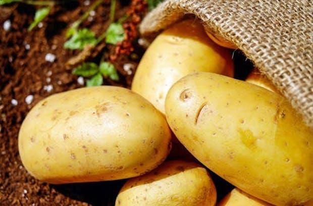 Hội Đông y: Nước ép khoai tây ngăn ngừa lão hóa da và giảm đau dạ dày