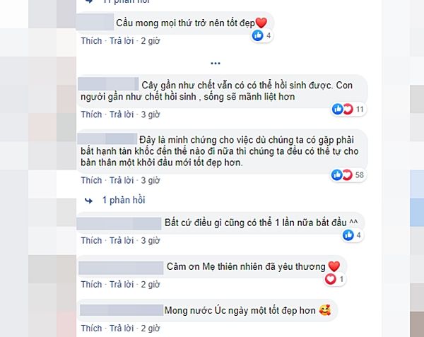 Tin vui ngày đầu năm: Những mầm sống đã bắt đầu trở lại tại Úc