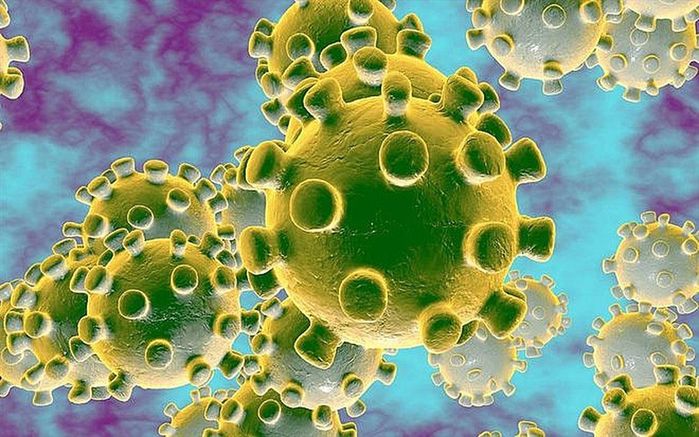 Ngoài Corona, loại virus này cũng nguy hiểm không kém