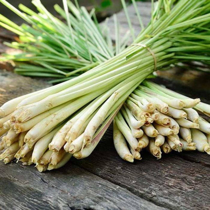 Xông hơi bằng khổ qua: 1 trong 8 cách xông mặt giúp da luôn mịn màng