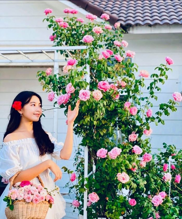 Vợ Quyền Linh khoe ảnh hồi nhỏ của hai cô con gái