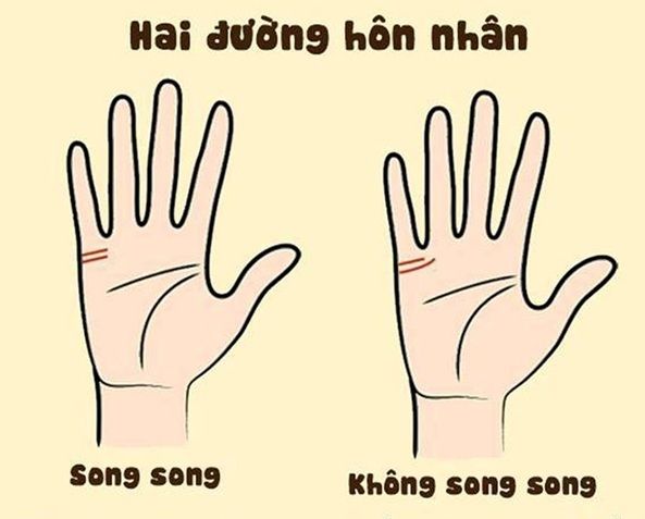 Nhân tướng học: Phụ nữ có ngón trỏ và áp út bằng nhau thì hạnh phúc
