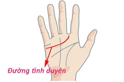 Nhân tướng học: Phụ nữ có ngón trỏ và áp út bằng nhau thì hạnh phúc