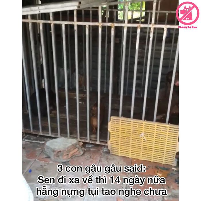 Được cho cách ly tại nhà, nam thanh niên số nhọ bị mẹ cho ngủ nhà kho