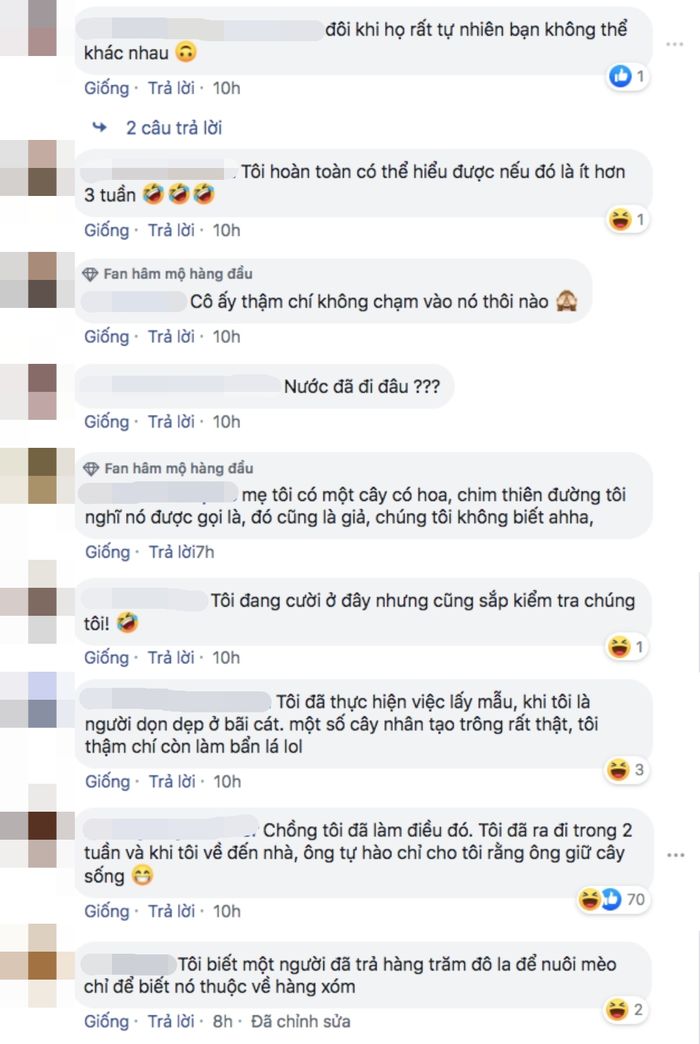 Cô nàng chăm hai năm trời mới phát hiện mình đang nuôi cây giả