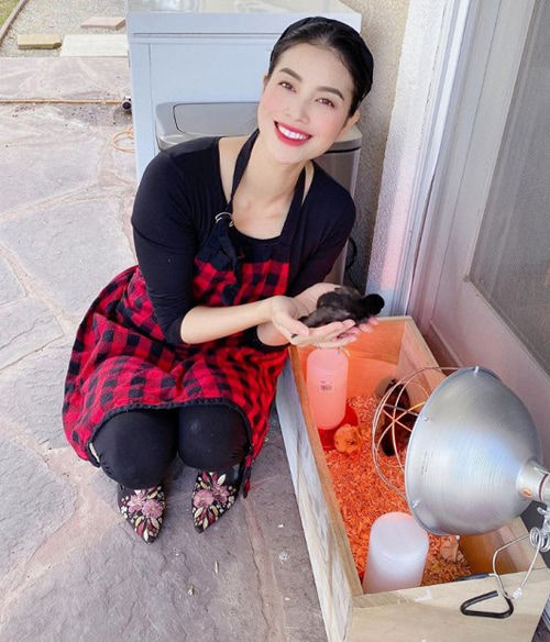 Sao Việt 27/3: Đông Nhi ẩn ý mang thai, Elly Trần khoe dáng