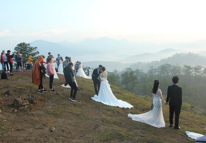 Hàng chục cặp đôi chen chân chụp ảnh cưới trên ngọn đồi Đà Lạt
