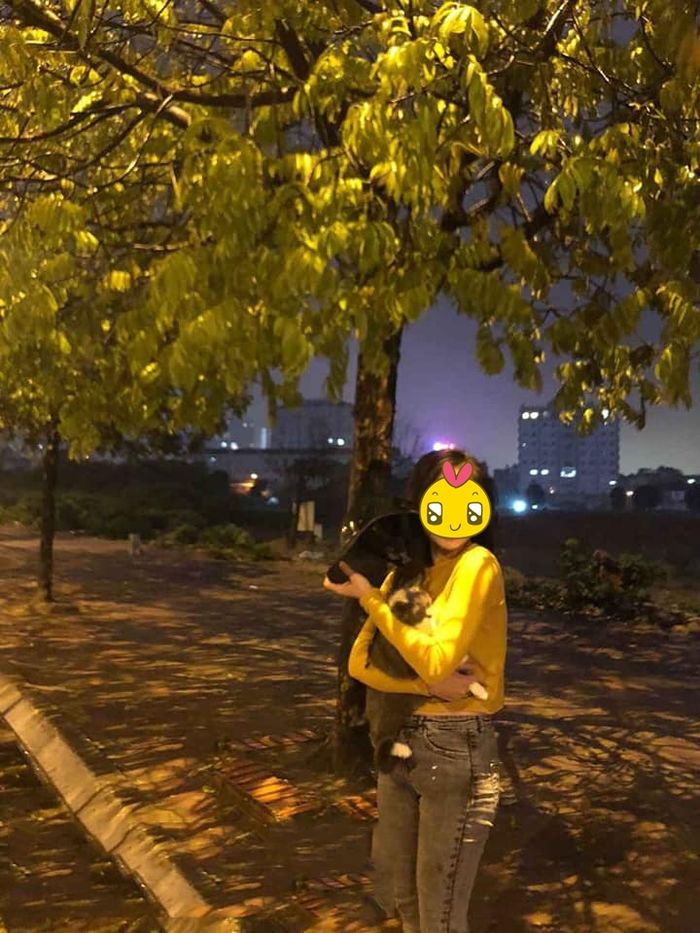 Hậu chia tay, cô gái bắt taxi sang nhà bạn trai cũ để đòi lại mèo