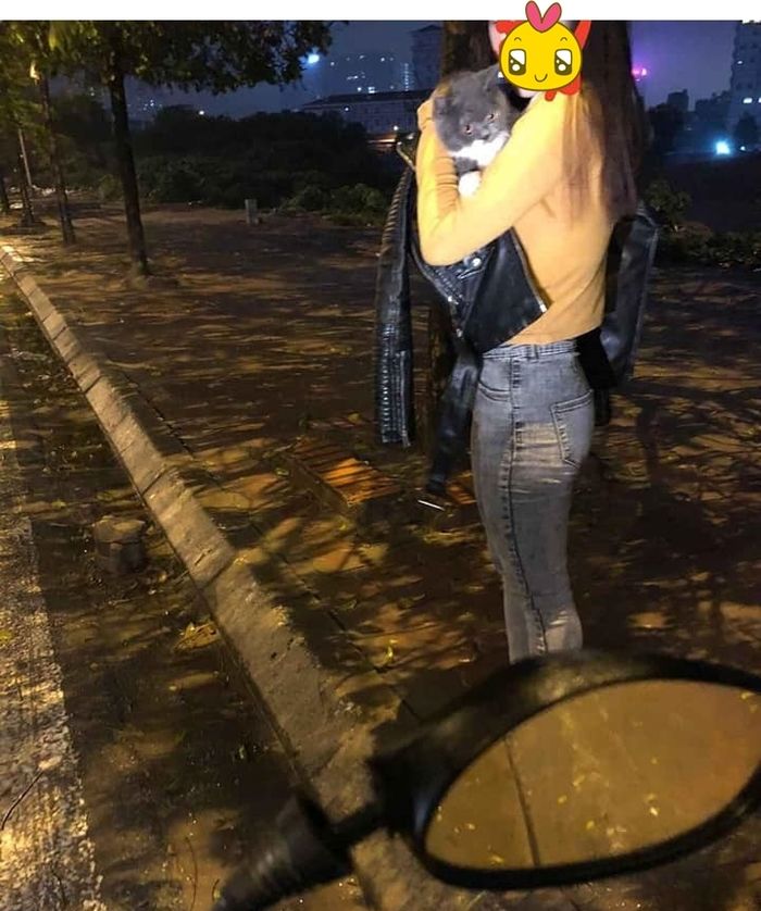 Hậu chia tay, cô gái bắt taxi sang nhà bạn trai cũ để đòi lại mèo