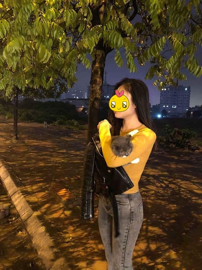 Hậu chia tay, cô gái bắt taxi sang nhà bạn trai cũ để đòi lại mèo