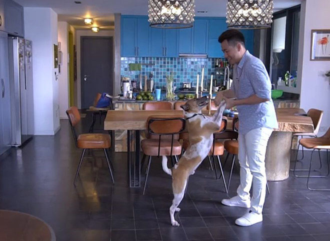 Khối gia sản hàng tỷ đồng của Lương Bằng Quang, Khánh Phương