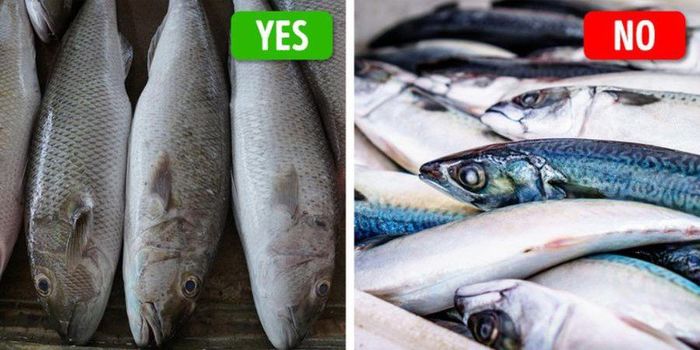 Mẹo lựa thực phẩm: Mua cá nhìn mang, mật ong dễ tan thường là giả