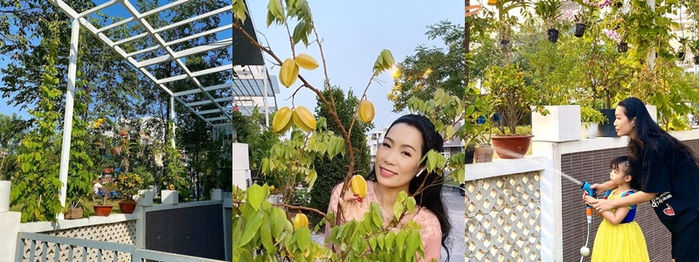 Vườn cây trái của sao Việt: vườn nhà Quyền Linh, Trịnh Kim Chi