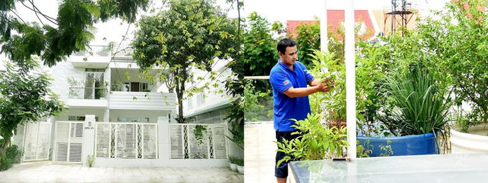 Vườn cây trái của sao Việt: vườn nhà Quyền Linh, Trịnh Kim Chi