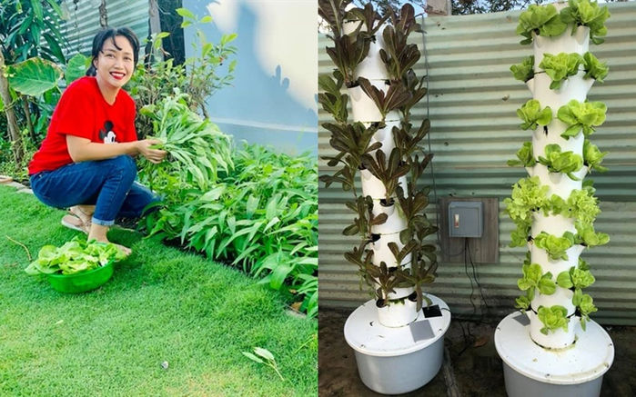 Vườn cây trái của sao Việt: vườn nhà Quyền Linh, Trịnh Kim Chi
