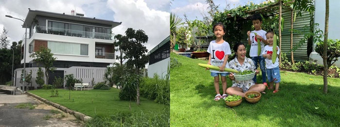 Vườn cây trái của sao Việt: vườn nhà Quyền Linh, Trịnh Kim Chi