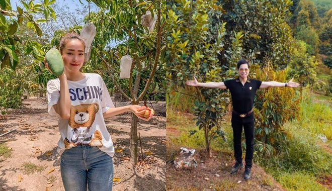 Minh Hằng và loạt sao Việt sở hữu cơ ngơi hàng nghìn m2