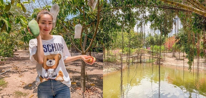 Minh Hằng và loạt sao Việt sở hữu cơ ngơi hàng nghìn m2