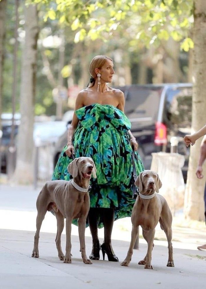 Diện style màu mè tuổi ngũ tuần, Celine Dion: Tôi mặc đẹp cho mình