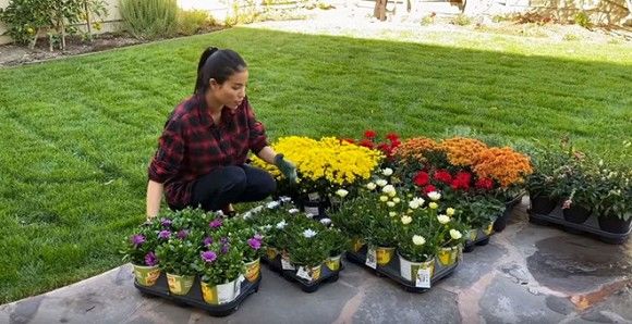 Phạm Hương tiết lộ sắp xây thêm biệt thự có view xịn trên đất Mỹ