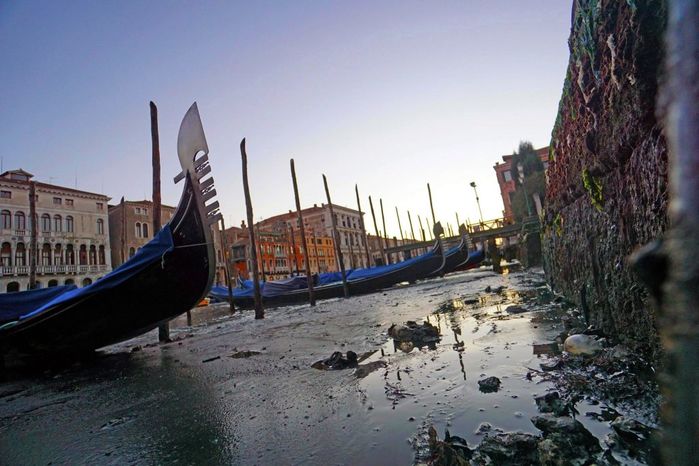 Sau vài ngày phong tỏa vì Covid-19, kênh tại Venice trở nên trong vắt
