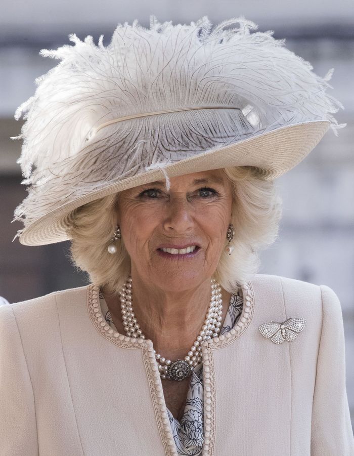 Thái tử Charles chuẩn bị lên kế vị ngai vàng từ Nữ hoàng Elizabeth