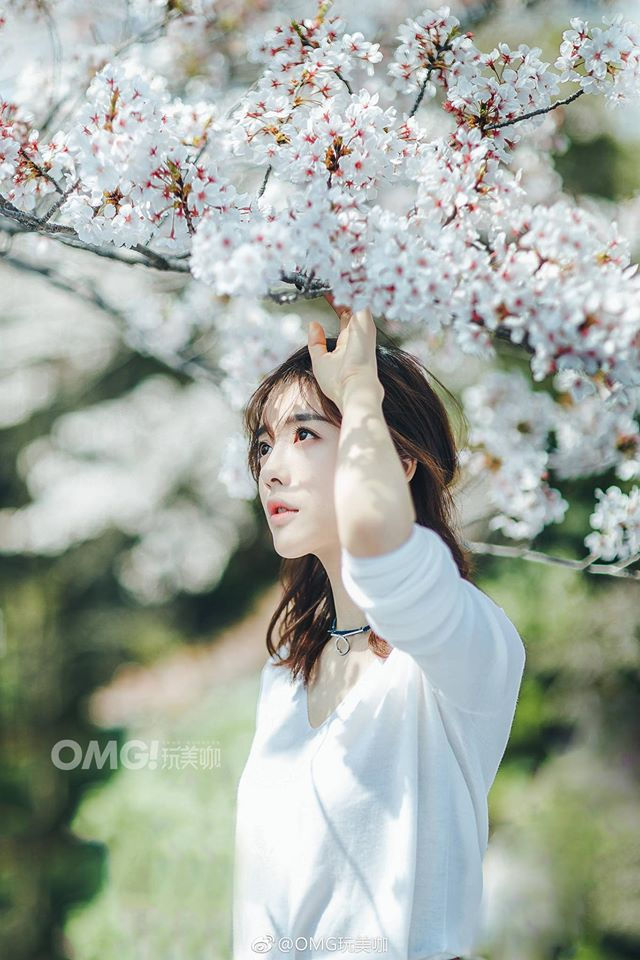 Thái Văn Tịnh là ai mà khiến Angelababy bị mỉa mai sắp mất chồng?