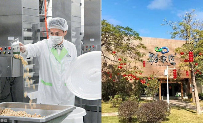 Triển Chiêu đẹp trai nhất màn ảnh: 60 tuổi vẫn độc thân và siêu giàu