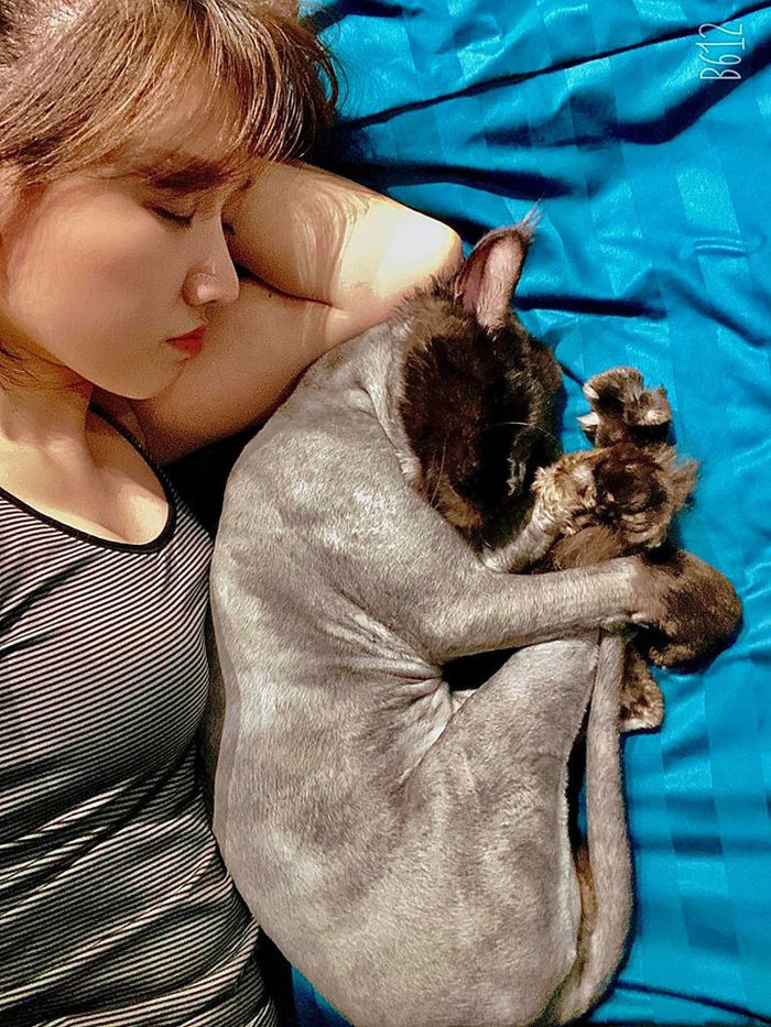 Nam Thư để lộ mặt mộc, Hari Won ngủ cùng mèo cưng