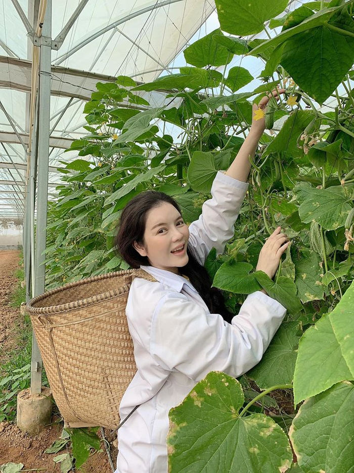 Lý Nhã Kỳ giản dị đi hái rau củ, BB Trần diện xuyên thấu cực gợi cảm