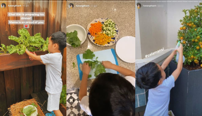 Con của sao Việt: Hà Tăng, Hà Hồ...