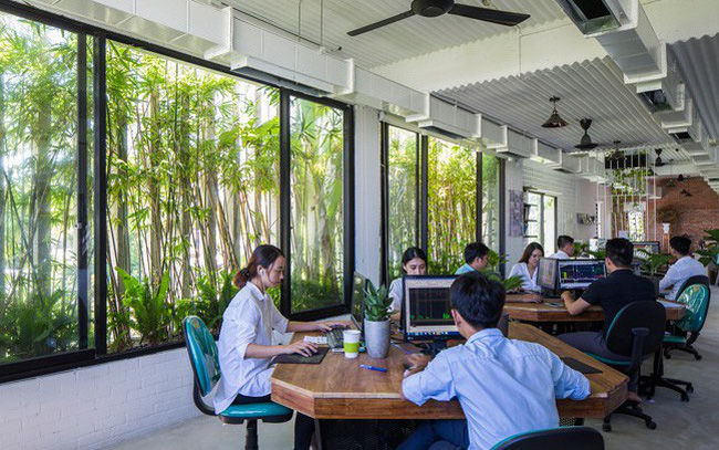 4 lợi ích khi trồng cây xanh trong nhà