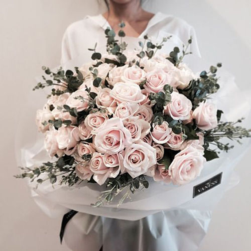 4 lợi ích khi trồng cây xanh trong nhà