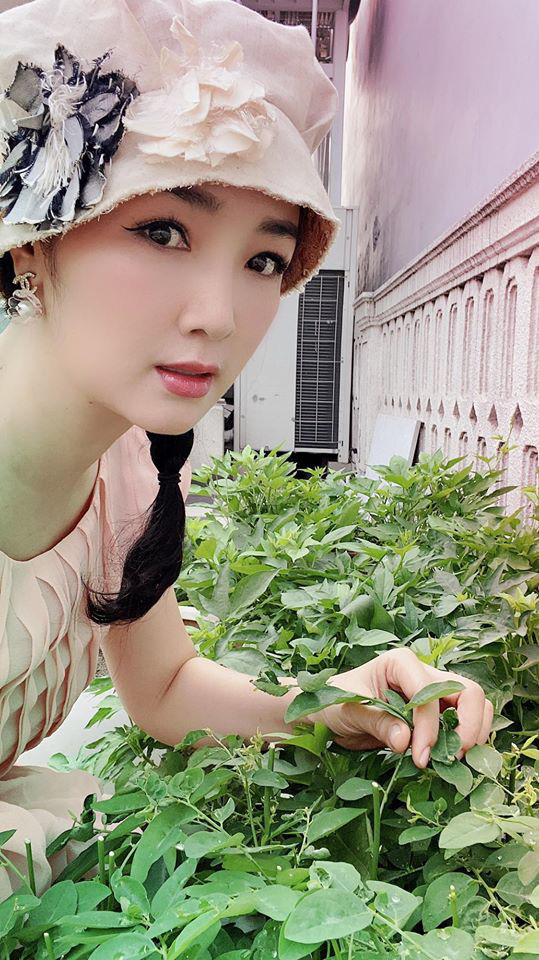 Hoa hậu Giáng My khoe vườn rau và hoa tự trồng
