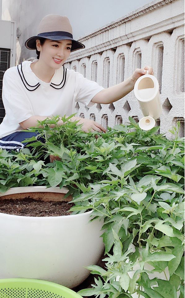 Hoa hậu Giáng My khoe vườn rau và hoa tự trồng