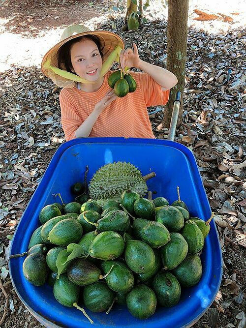 Lan Ngọc gợi cảm mừng sinh nhật tuổi 30, Lý Nhã Kỳ thu hoạch cây trái
