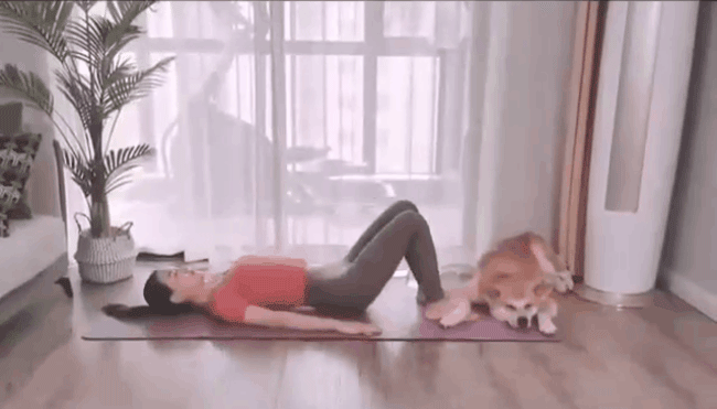 Muốn tập squat nhưng lại sợ đùi to, tập ngay 3 động tác nâng mông này
