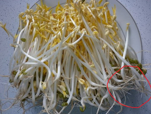 Những loại rau quả dễ bị phun hóa chất