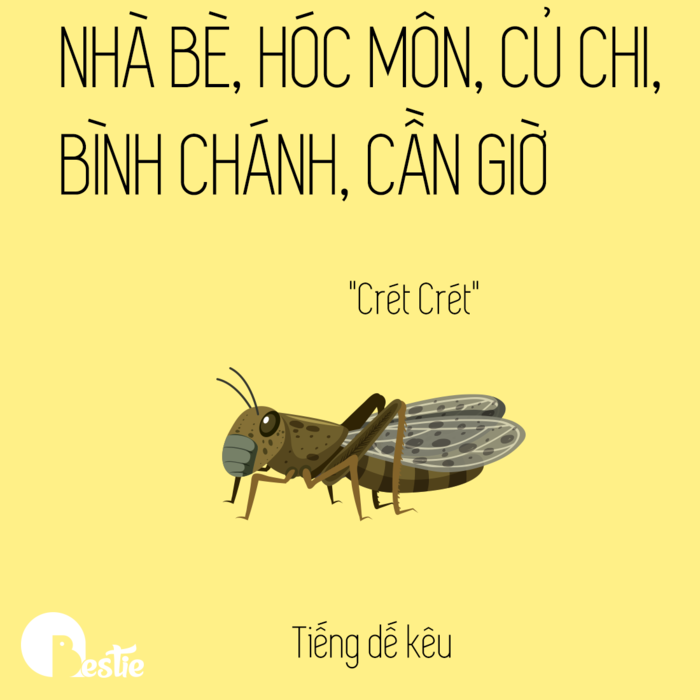 Bộ ảnh Sài Gòn và những âm thanh huyền thoại đặc trưng