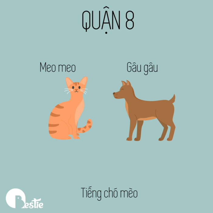 Bộ ảnh Sài Gòn và những âm thanh huyền thoại đặc trưng