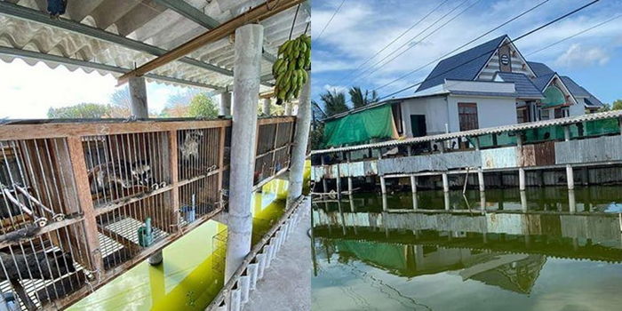 Bị cho dựa hơi Phượng Chanel, hóa ra Quách Ngọc Ngoan rất giàu