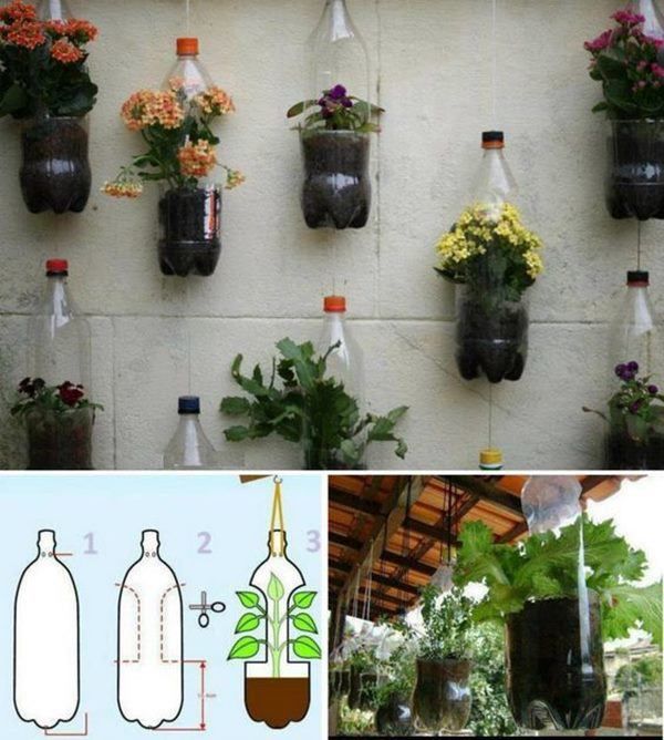 Tận dụng vỏ chai nhựa có vườn rau xanh mướt, ăn quanh năm không hết