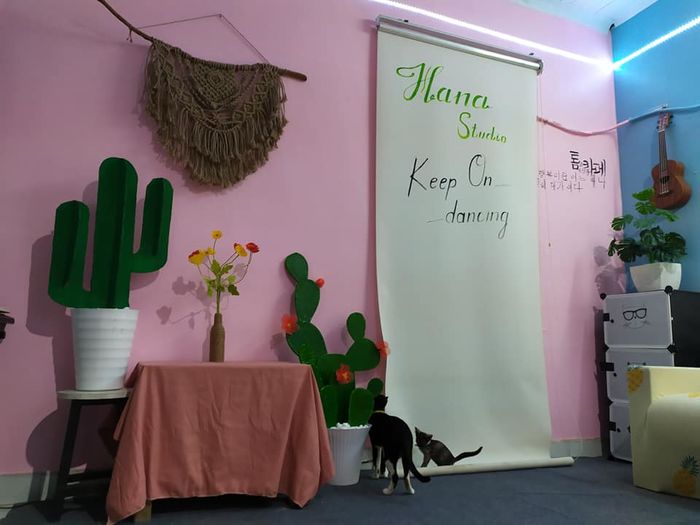 Cô gái F5 phòng trọ xinh lung linh, tự làm đồ trang trí cực khéo