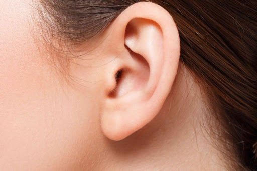 ĐH Edinburgh: Vòng 1 to, dái tai không cân xứng chứng tỏ IQ cao