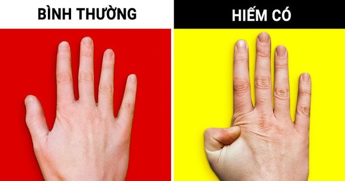Những khả năng nhìn như đơn giản nhưng lại hiếm gặp của con người