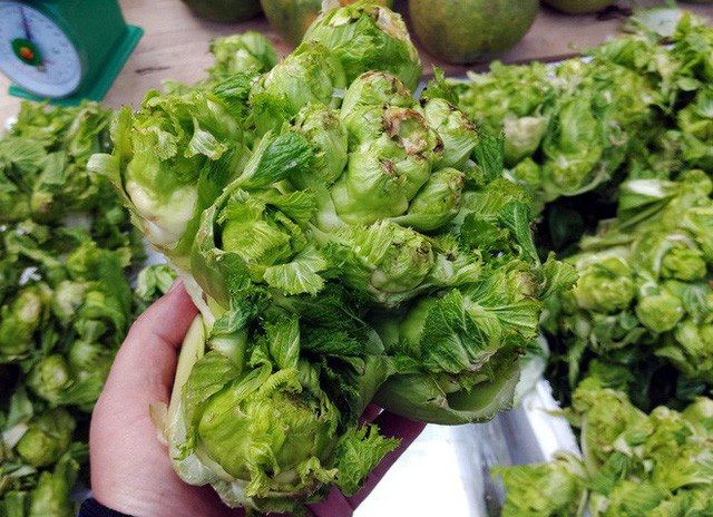 Săn lùng rau rừng có giá đắt hơn thịt, có loại 1 triệu đồng/kg