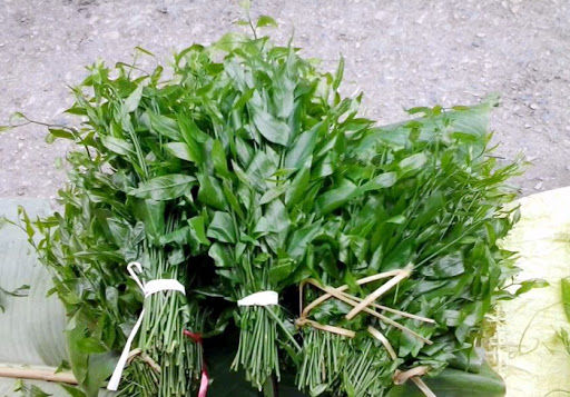 Săn lùng rau rừng có giá đắt hơn thịt, có loại 1 triệu đồng/kg